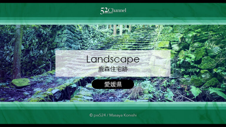 鹿森住宅跡：古代遺跡を彷彿させる山の斜面の石積み住居群跡！愛媛県山中の産業遺産