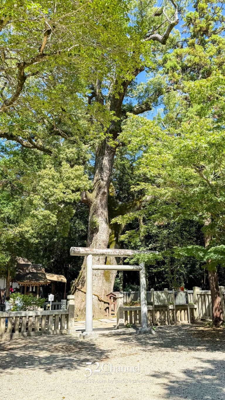 伊弉諾神宮：神宮を中心にリンクする日の出・日の入りの神秘！パワースポット観光ガイド