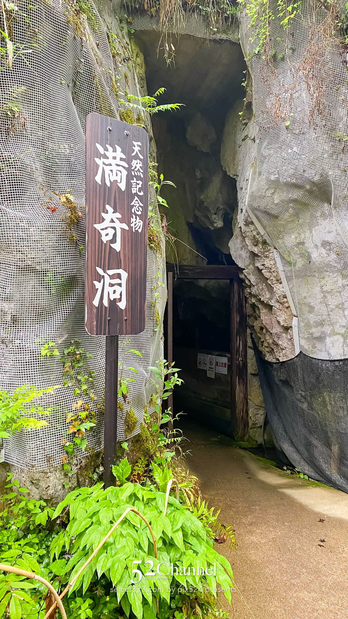 満奇洞（まきどう）：鍾乳石の造形美地底散策観光と撮影ポイント！幻想空間観光ガイド