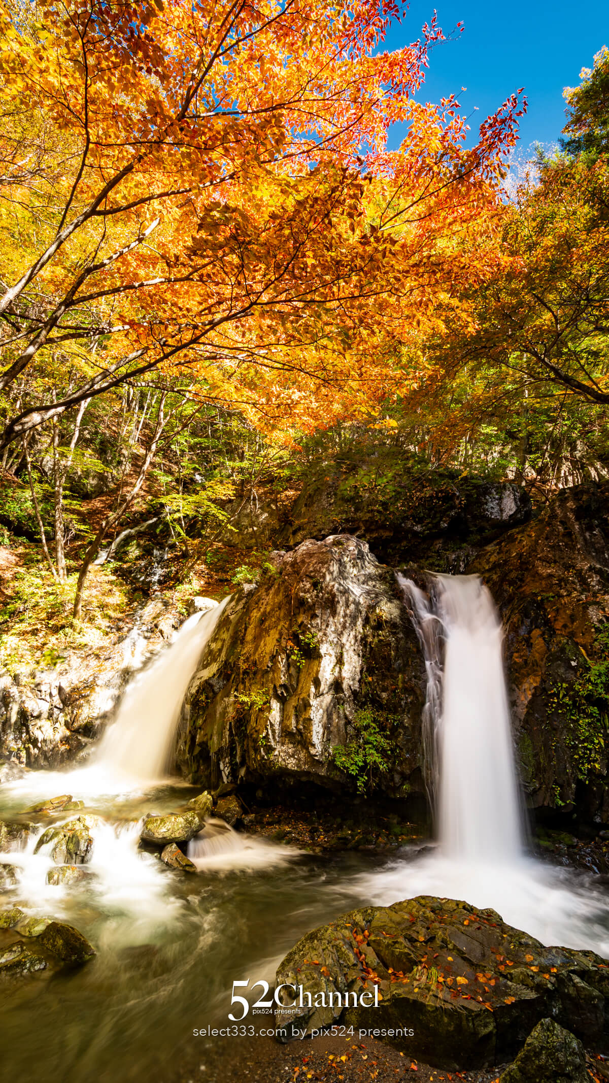 乙女の滝：信州佐久穂町山中カエデが彩る渓流沿いの撮影スポット！紅葉観光・撮影ポイント