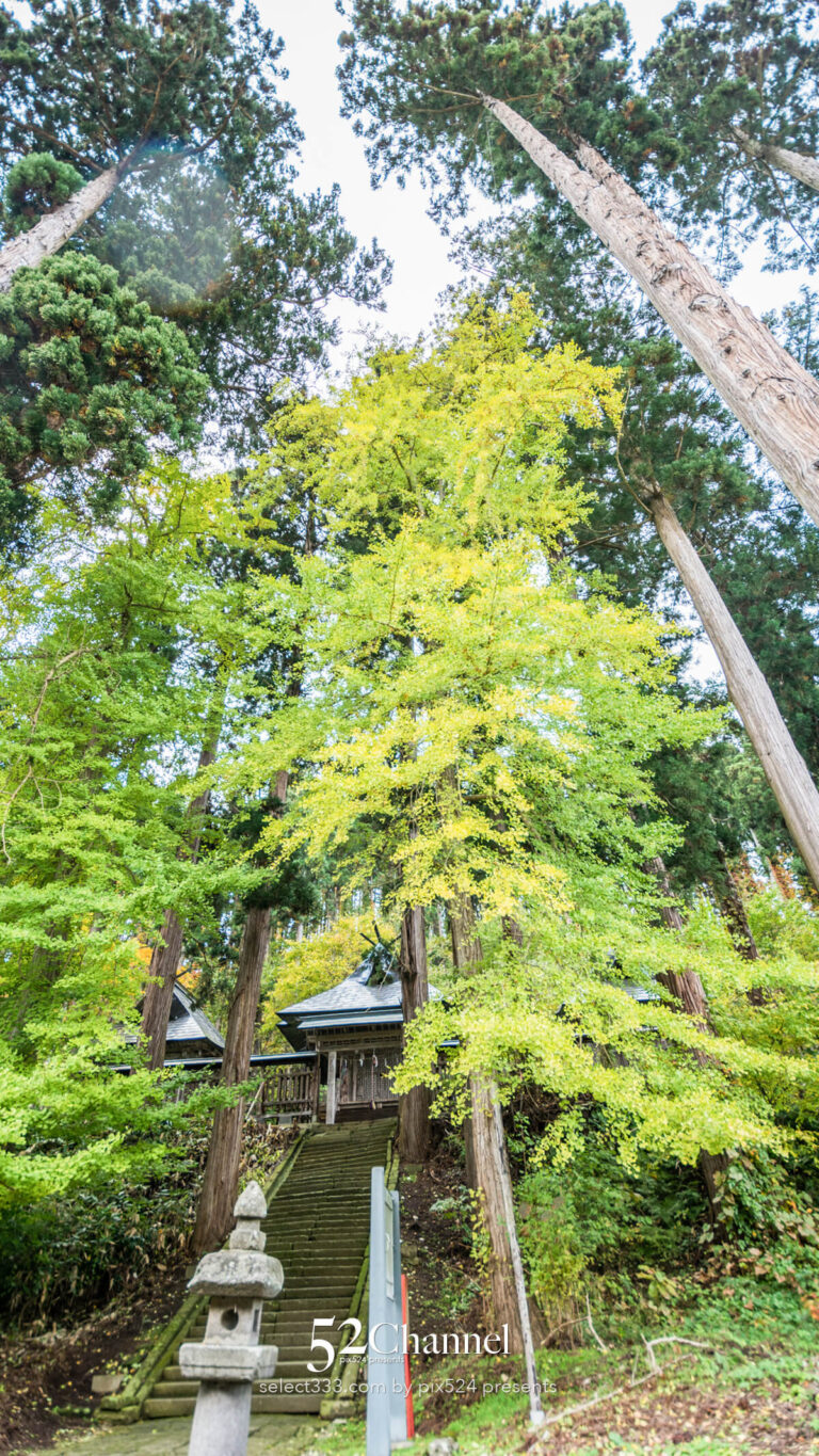会津新宮熊野神社:重要文化財の長