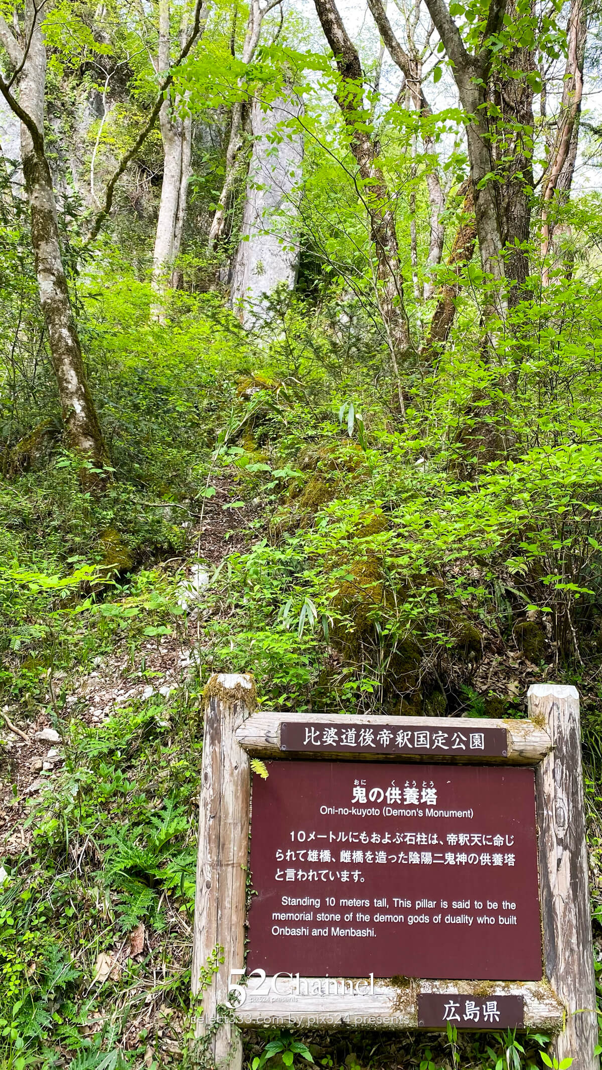 国定公園帝釈峡：日本屈指の天然橋 雄橋の観光と撮影ポイント！石灰岩の天然橋の絶景