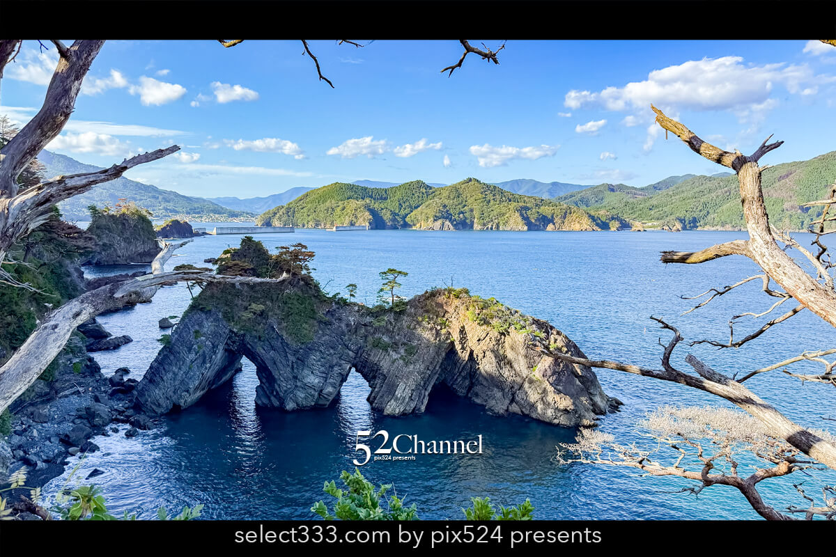 穴通磯｜枯れ木に囲まれた穴通磯の画像
