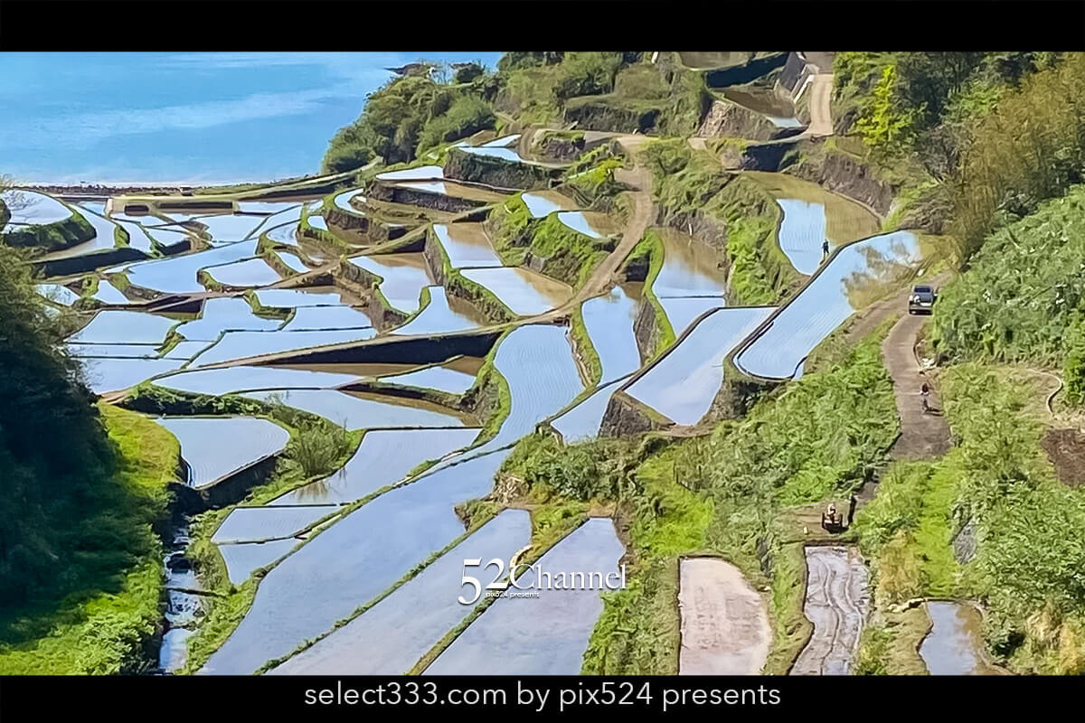浜野浦の棚田：佐賀県玄海町 海岸線の絶景棚田の見どころと撮影！夕焼け撮影スポット