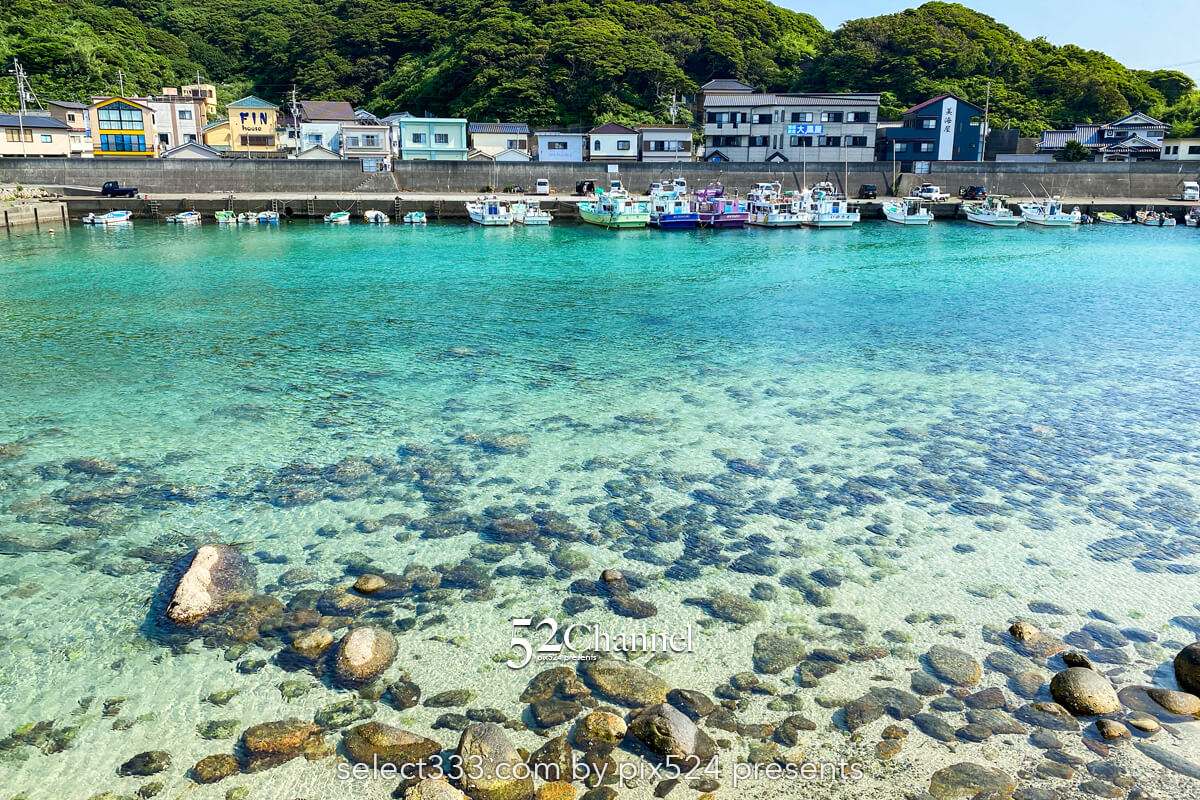 柏島ビーチ：イルカが泳ぐエメラルドグリーンの美しい海岸の撮影！観光撮影スポット