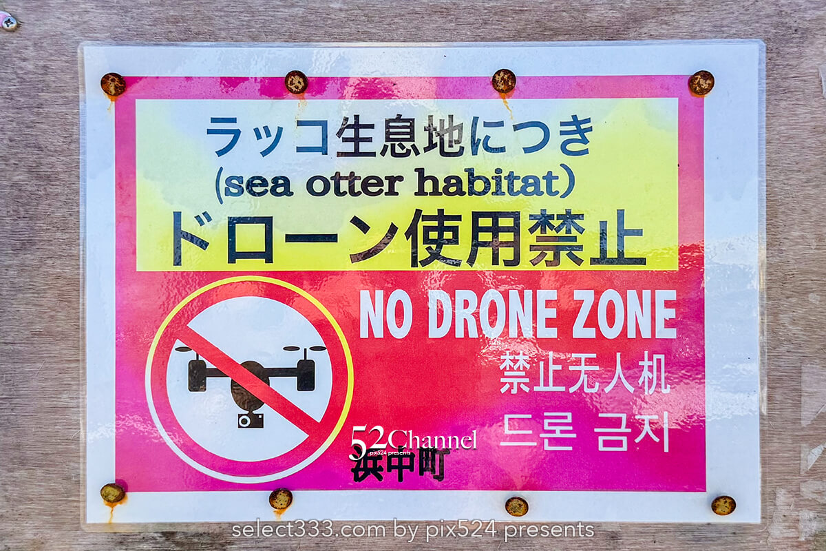 霧多布岬:北海道屈指の秘境フォトスポット!野生のラッコを撮影!観光と撮影ポイント