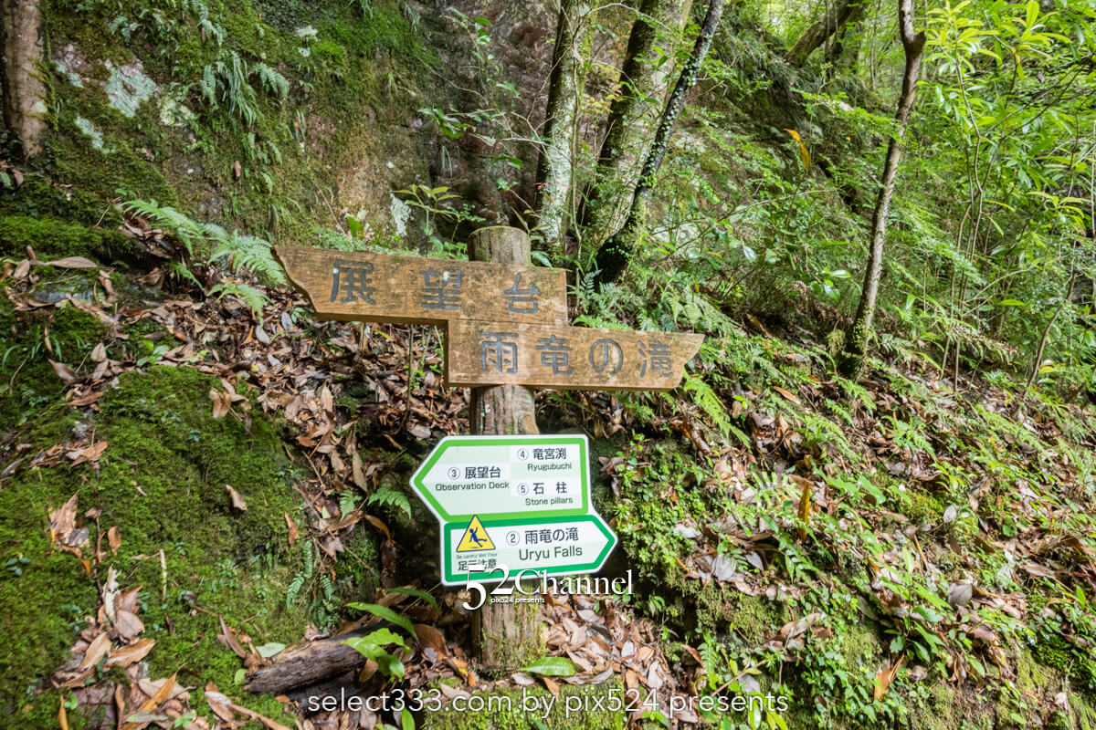 中津渓谷 雨竜の滝：仁淀ブルーで見られる神秘の巨瀑の撮影スポット！観光と撮影ガイド