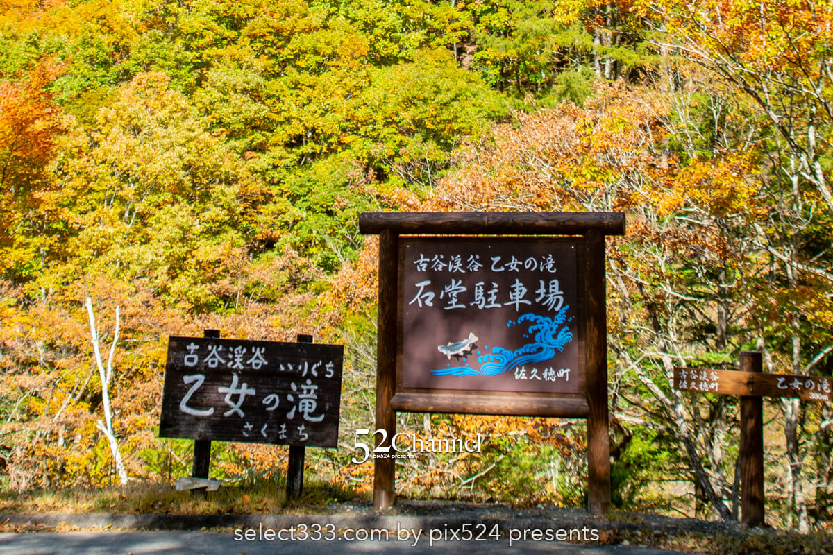 乙女の滝：信州佐久穂町山中カエデが彩る渓流沿いの撮影スポット！紅葉観光・撮影ポイント