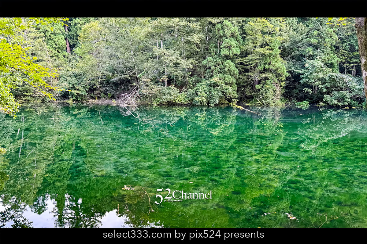 龍ヶ窪:色鮮やかな神秘の湧水地!絶景秘境の観光・撮影ポイント!名水百選の撮影スポット