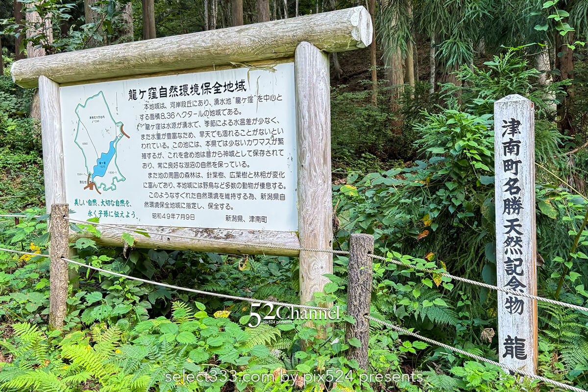 龍ヶ窪:色鮮やかな神秘の湧水地!絶景秘境の観光・撮影ポイント!名水百選の撮影スポット