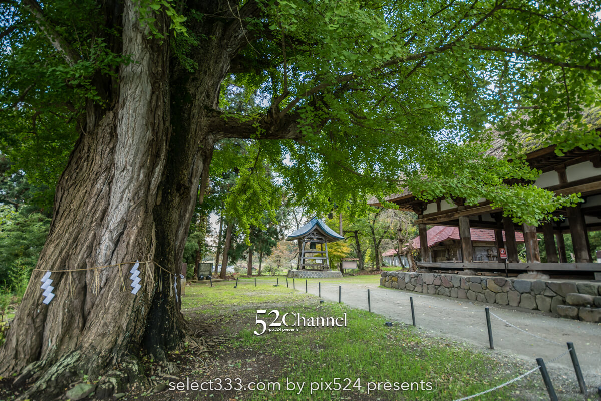 会津新宮熊野神社:重要文化財の長