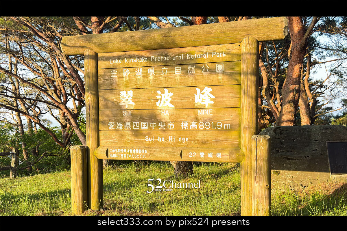 翠波高原:四季折々の花々と夕日から星空風景撮影地で天の川撮影!春の天の川撮影レポ