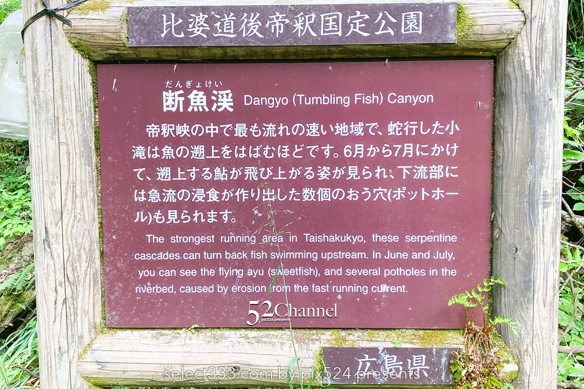 国定公園帝釈峡：日本屈指の天然橋 雄橋の観光と撮影ポイント！石灰岩の天然橋の絶景