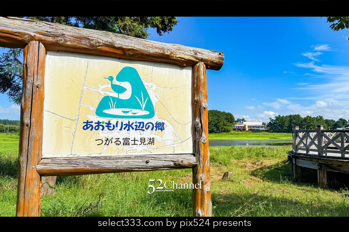 鶴の舞橋：日本一長い木造三連太鼓橋の優美な橋の絶景撮影スポット！観光と見どころガイド