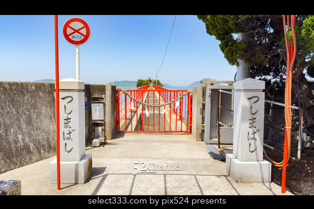 津嶋神社：年2日だけ渡れる本殿の参道つしま橋見どころと観光！撮影ポイントガイド