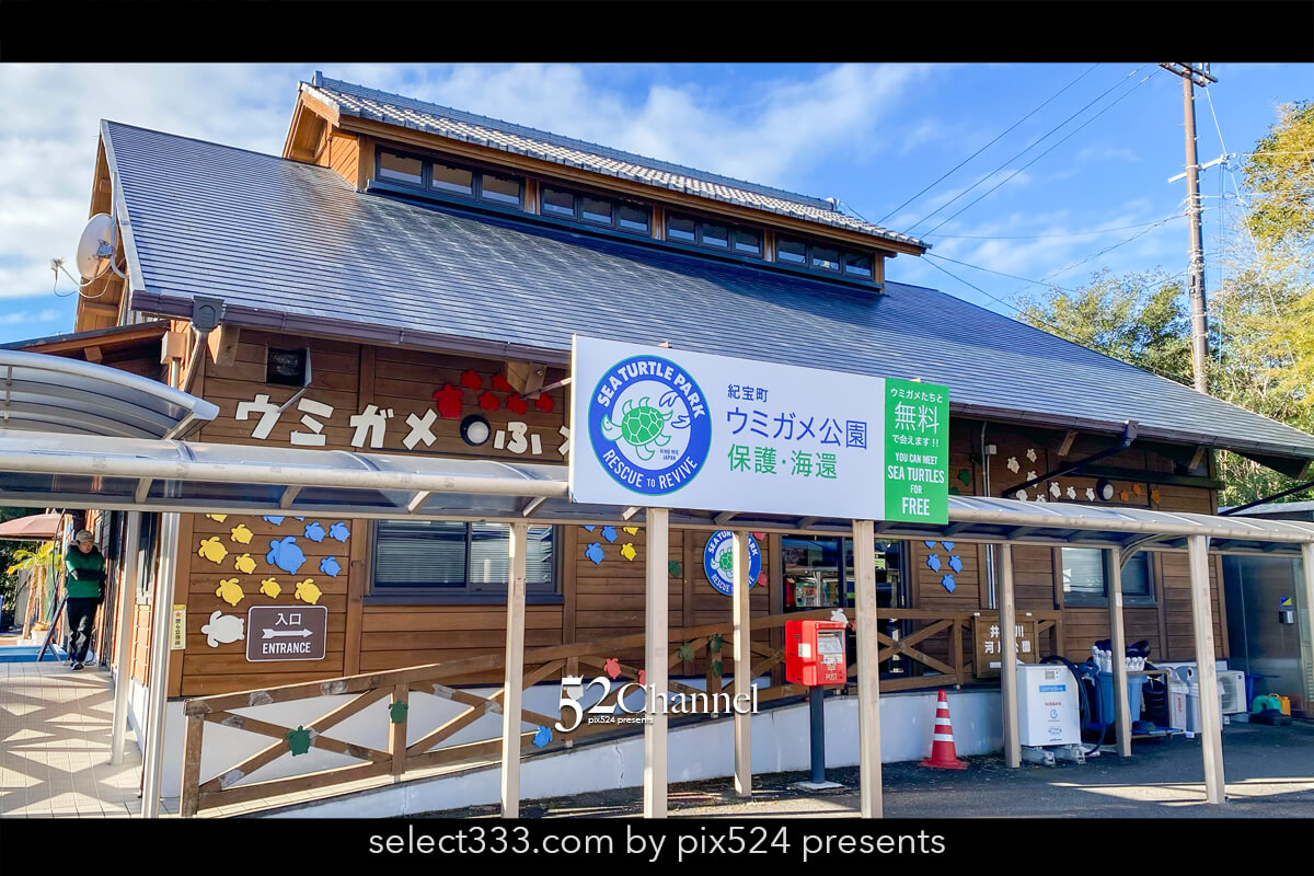 紀宝町ウミガメ公園：道の駅で出会えるウミガメ水族館の見どころ！観光と撮影スポット