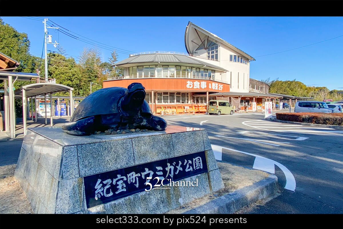 紀宝町ウミガメ公園：道の駅で出会えるウミガメ水族館の見どころ！観光と撮影スポット
