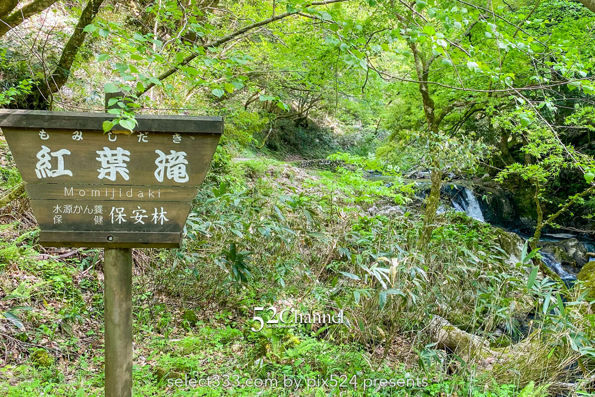八重滝:異なる特徴を持つ8つの滝を巡る観光と撮影スポット!日本の滝百選撮影ポイント