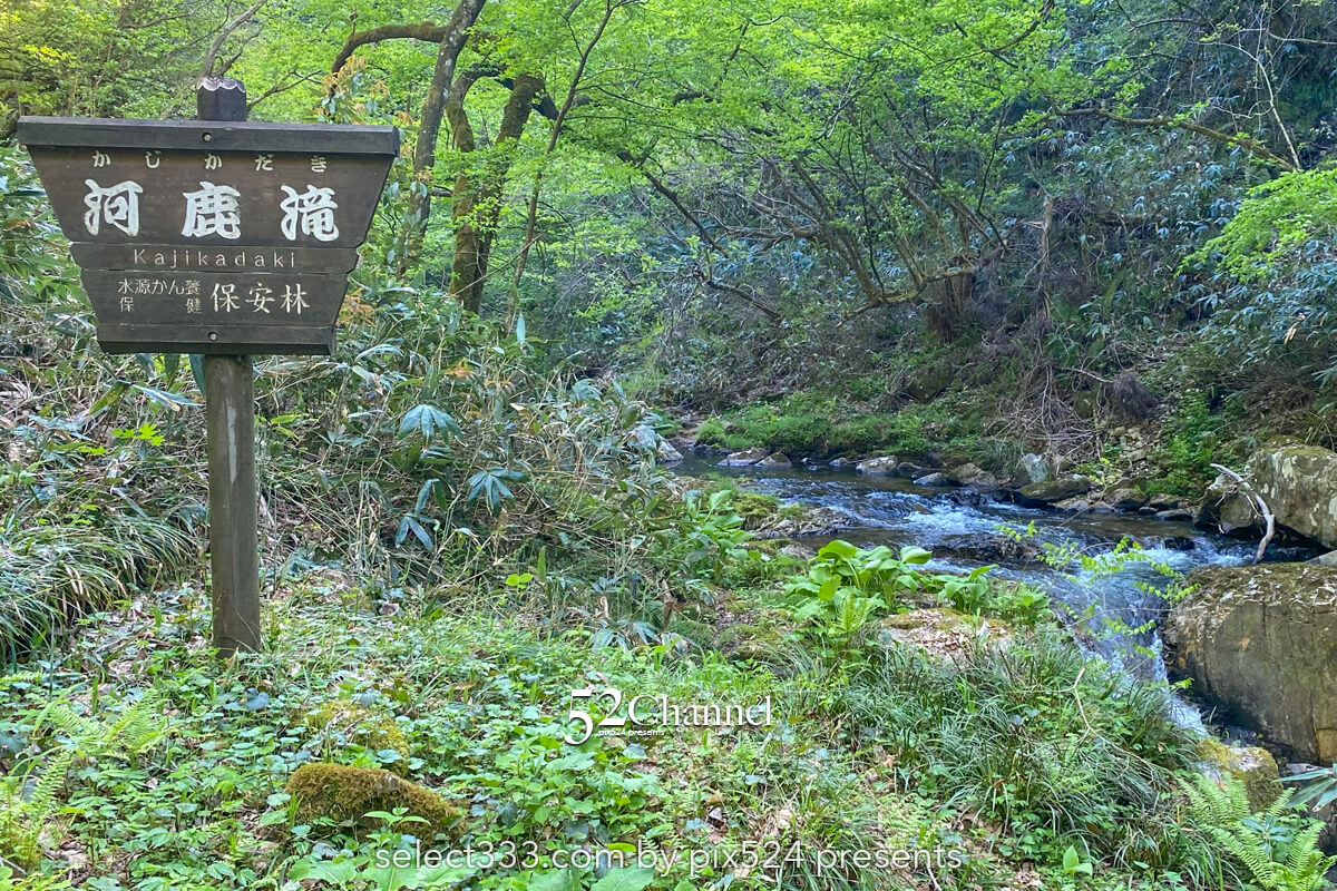 八重滝:異なる特徴を持つ8つの滝を巡る観光と撮影スポット!日本の滝百選撮影ポイント