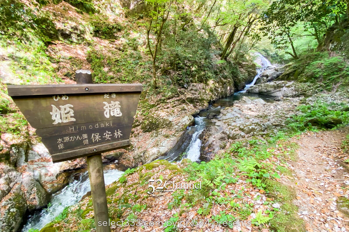 八重滝:異なる特徴を持つ8つの滝を巡る観光と撮影スポット!日本の滝百選撮影ポイント