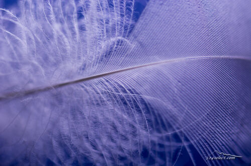 写真ブログのリニューアルと弊害…写真ブログ制作ログ[不定期]