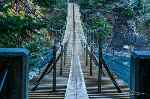 写真を楽しむブログ〜リニュールのお知らせ（2017.4.14）