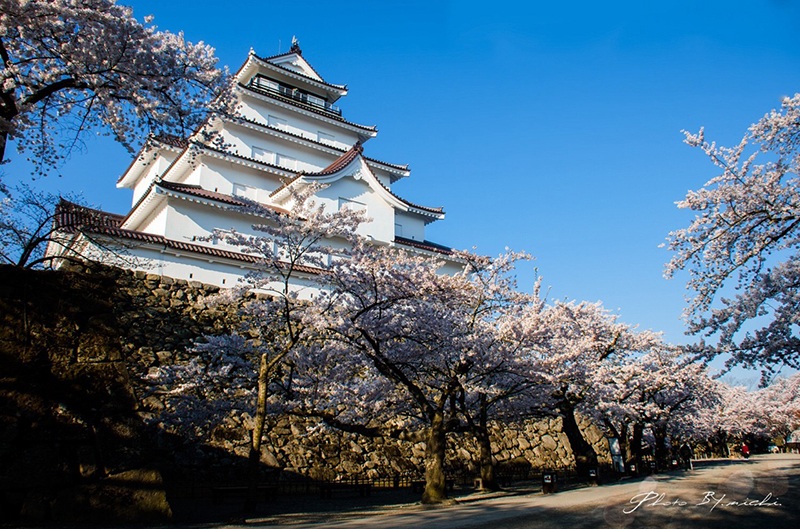 会津 鶴ヶ城(会津若松城)の桜鑑賞 会津 鶴ヶ城のお花見観光 アクセスと撮影攻略