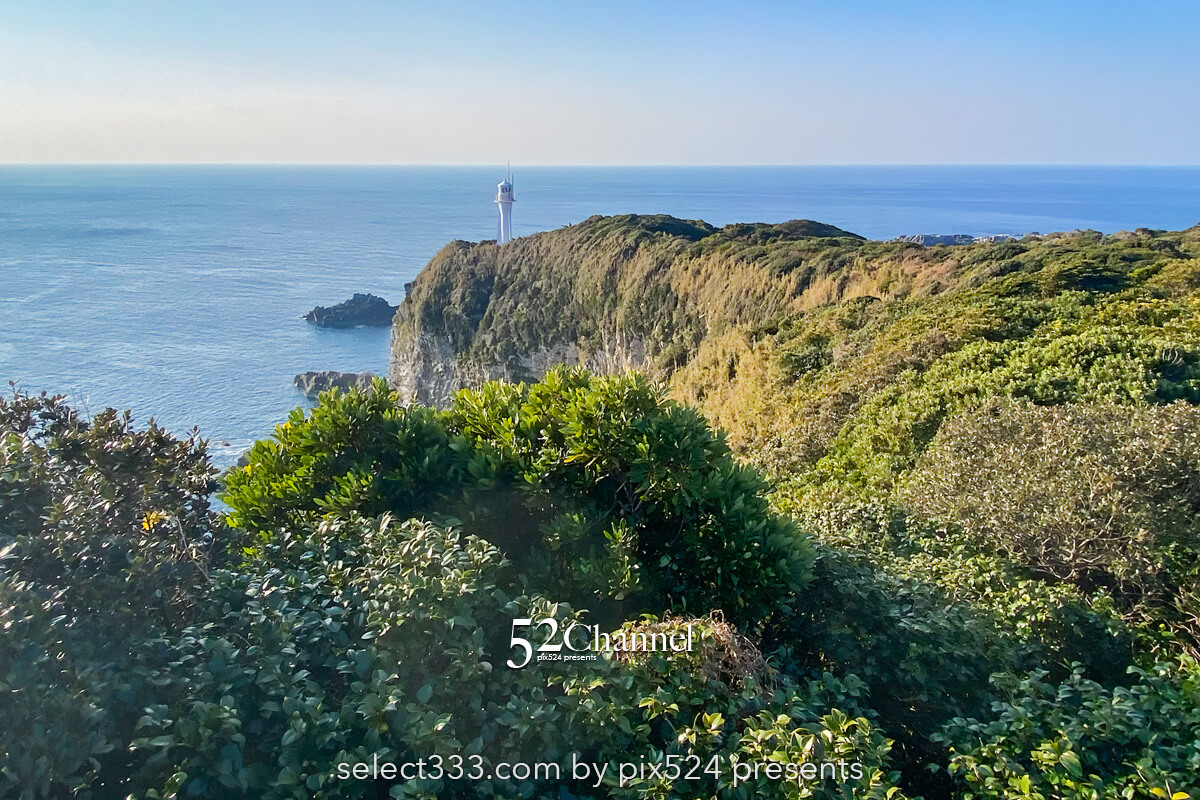 四国最南端 足摺岬:270度広がるパノラマ観光と撮影ポイント!最果て絶景スポット