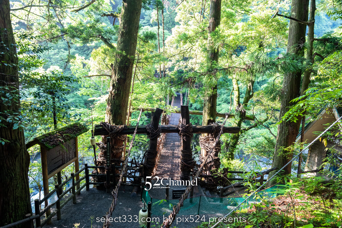 祖谷のかずら橋：日本三奇橋の上から眺める渓谷美の撮影スポット！非日常の撮影ポイント