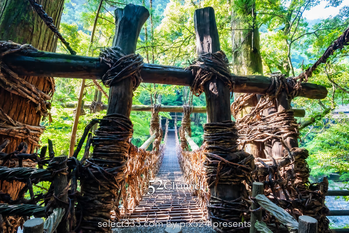 祖谷のかずら橋：日本三奇橋の上から眺める渓谷美の撮影スポット！非日常の撮影ポイント