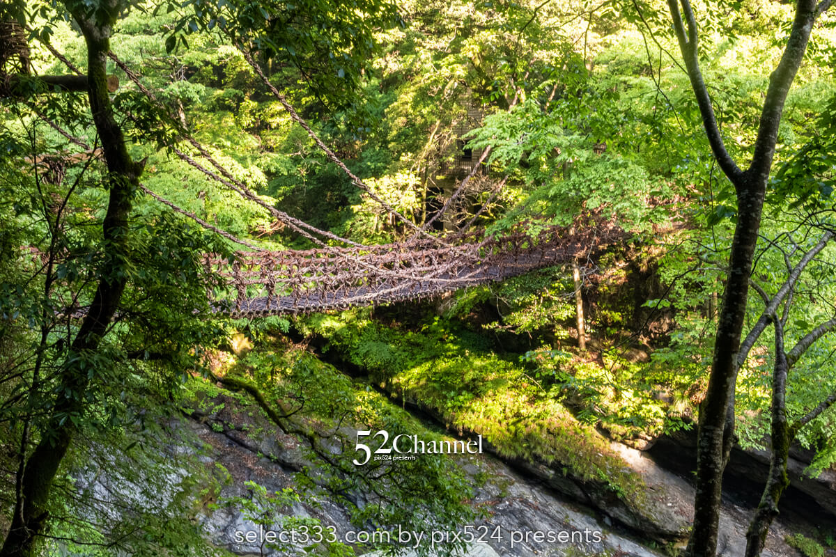 祖谷のかずら橋：日本三奇橋の上から眺める渓谷美の撮影スポット！非日常の撮影ポイント