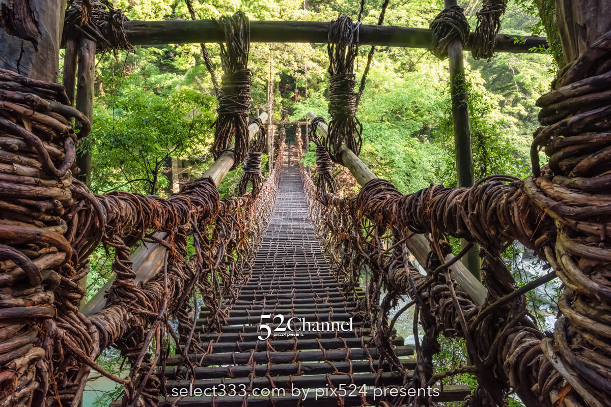 祖谷のかずら橋：日本三奇橋の上から眺める渓谷美の撮影スポット！非日常の撮影ポイント