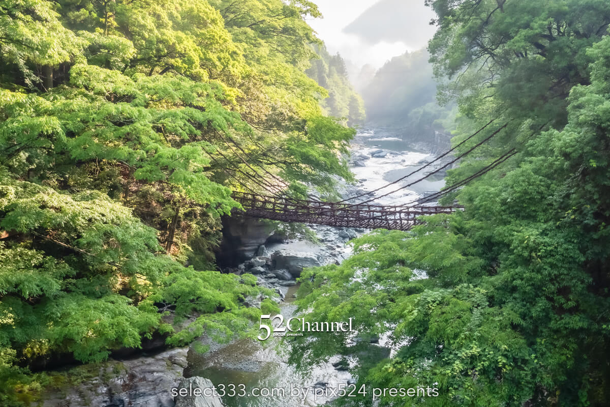 祖谷のかずら橋：日本三奇橋の上から眺める渓谷美の撮影スポット！非日常の撮影ポイント