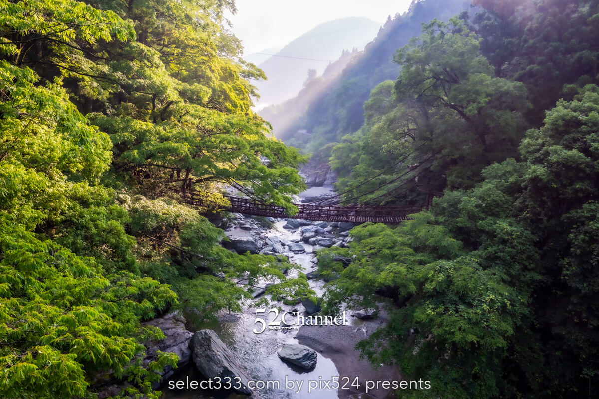 祖谷のかずら橋：日本三奇橋の上から眺める渓谷美の撮影スポット！非日常の撮影ポイント