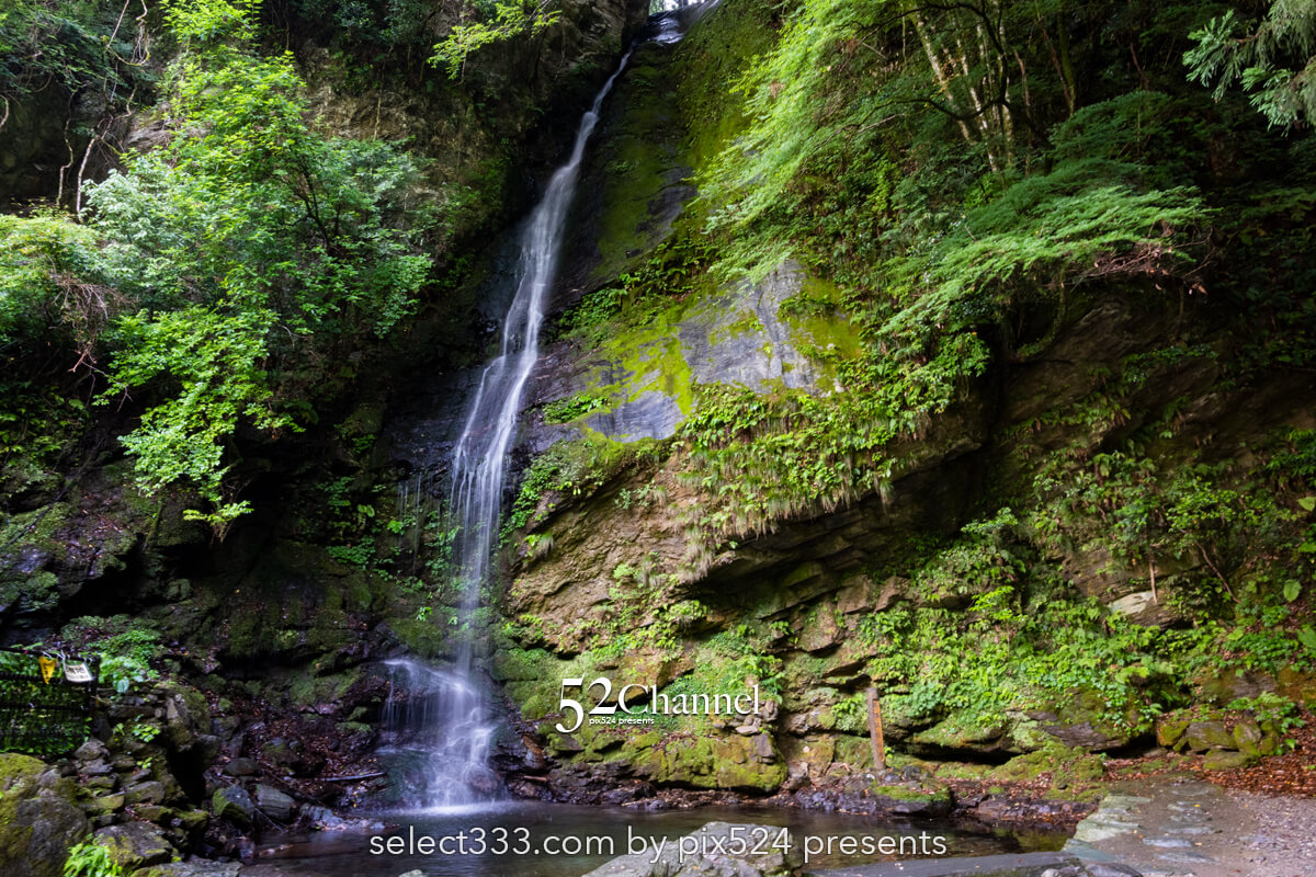 祖谷のかずら橋：日本三奇橋の上から眺める渓谷美の撮影スポット！非日常の撮影ポイント