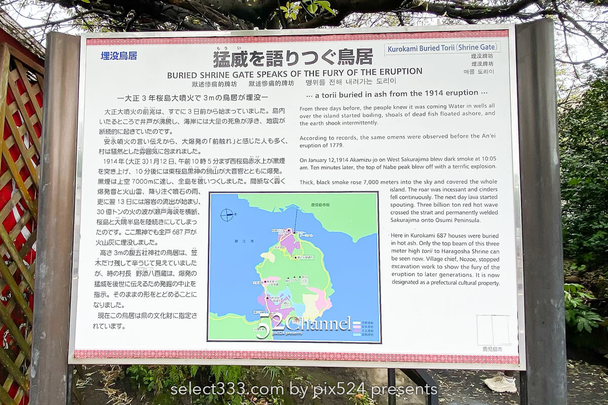 黒神埋没鳥居：1日で灰に埋まった鳥居の姿！観光・撮影スポット！桜島噴火の爪痕とは？