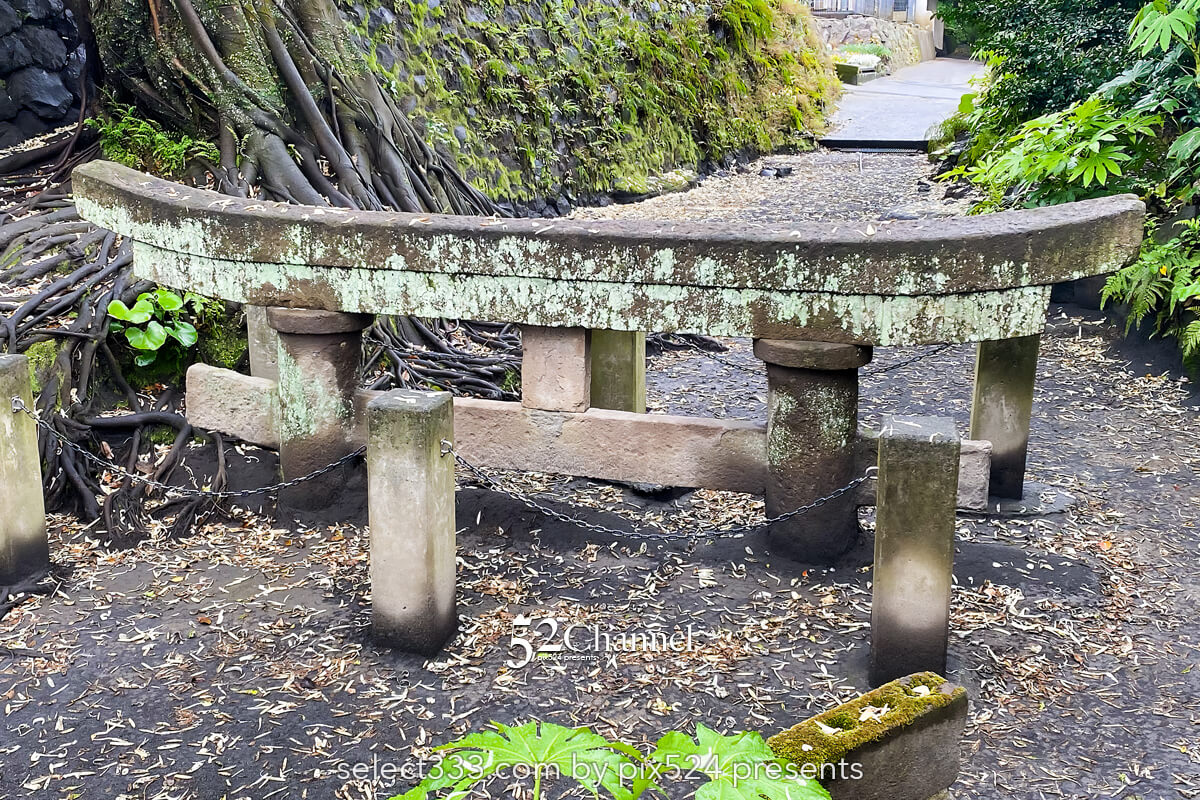 黒神埋没鳥居：1日で灰に埋まった鳥居の姿！観光・撮影スポット！桜島噴火の爪痕とは？