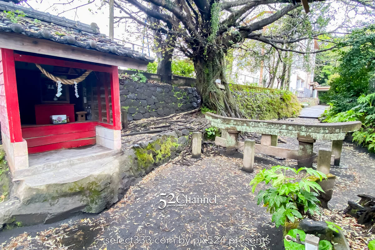 黒神埋没鳥居：1日で灰に埋まった鳥居の姿！観光・撮影スポット！桜島噴火の爪痕とは？