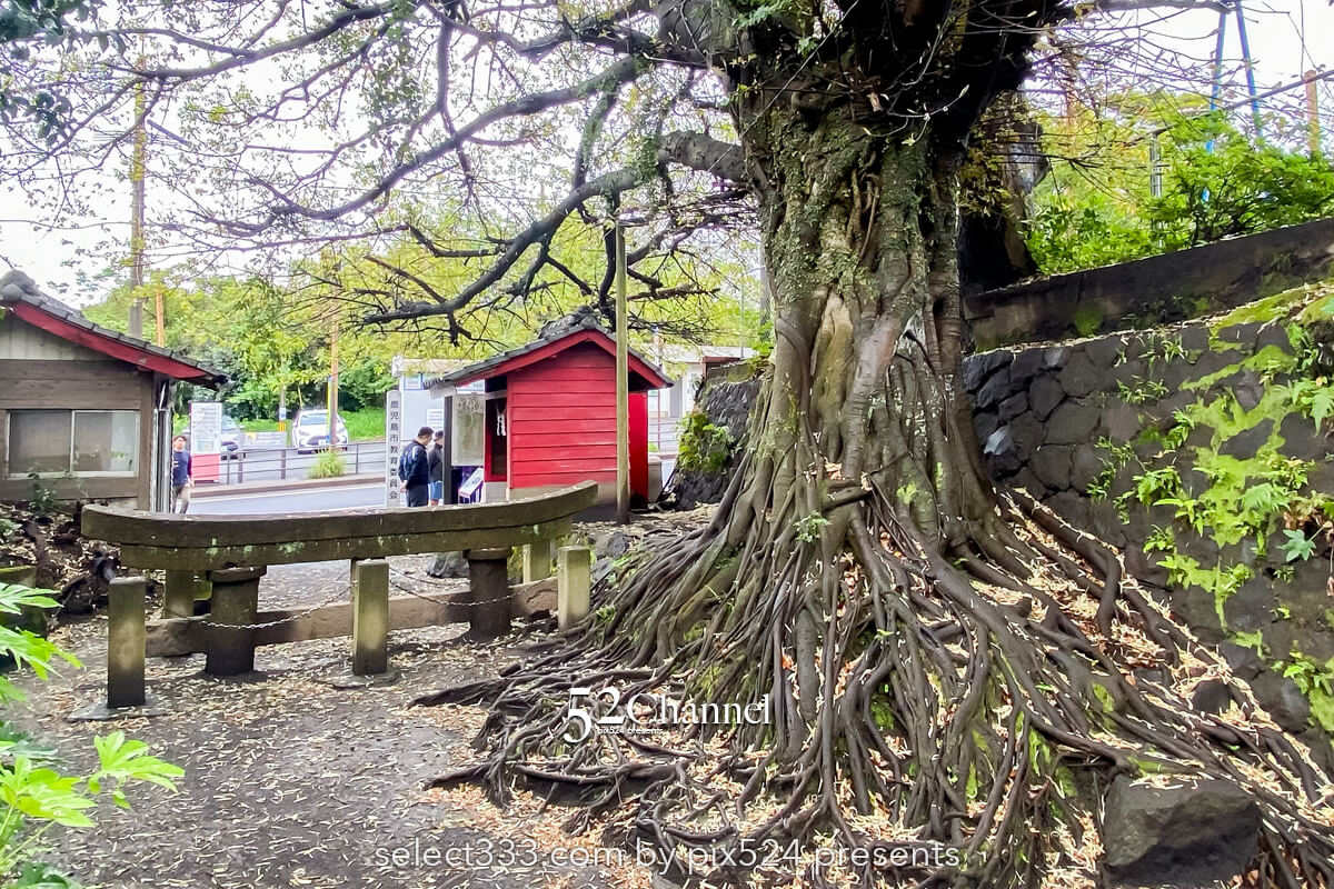 黒神埋没鳥居：1日で灰に埋まった鳥居の姿！観光・撮影スポット！桜島噴火の爪痕とは？