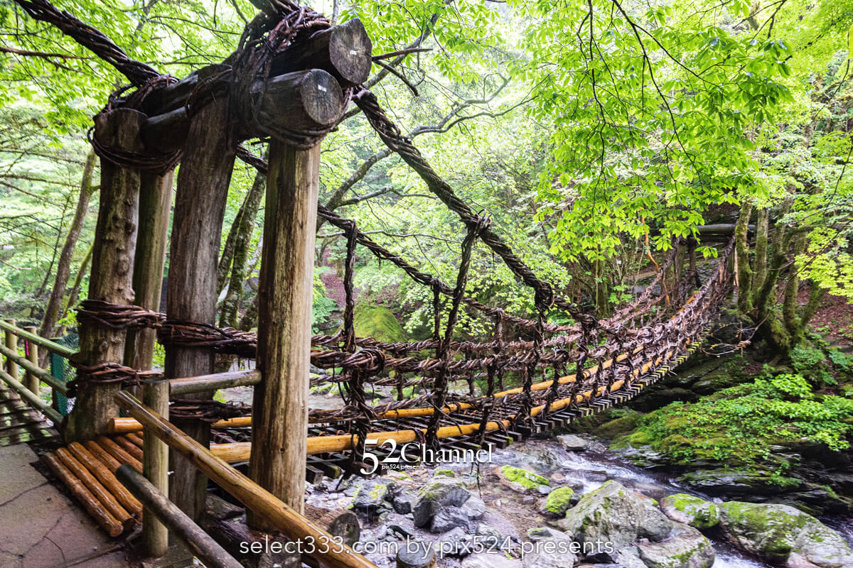 奥祖谷二重かずら橋:渓谷に映える男橋と女橋観光と撮影ポイント!秘境の撮影スポット