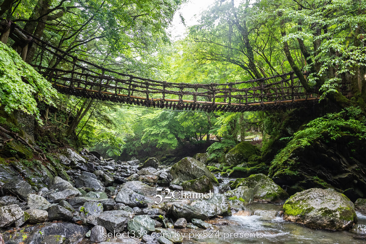 奥祖谷二重かずら橋:渓谷に映える男橋と女橋観光と撮影ポイント!秘境の撮影スポット