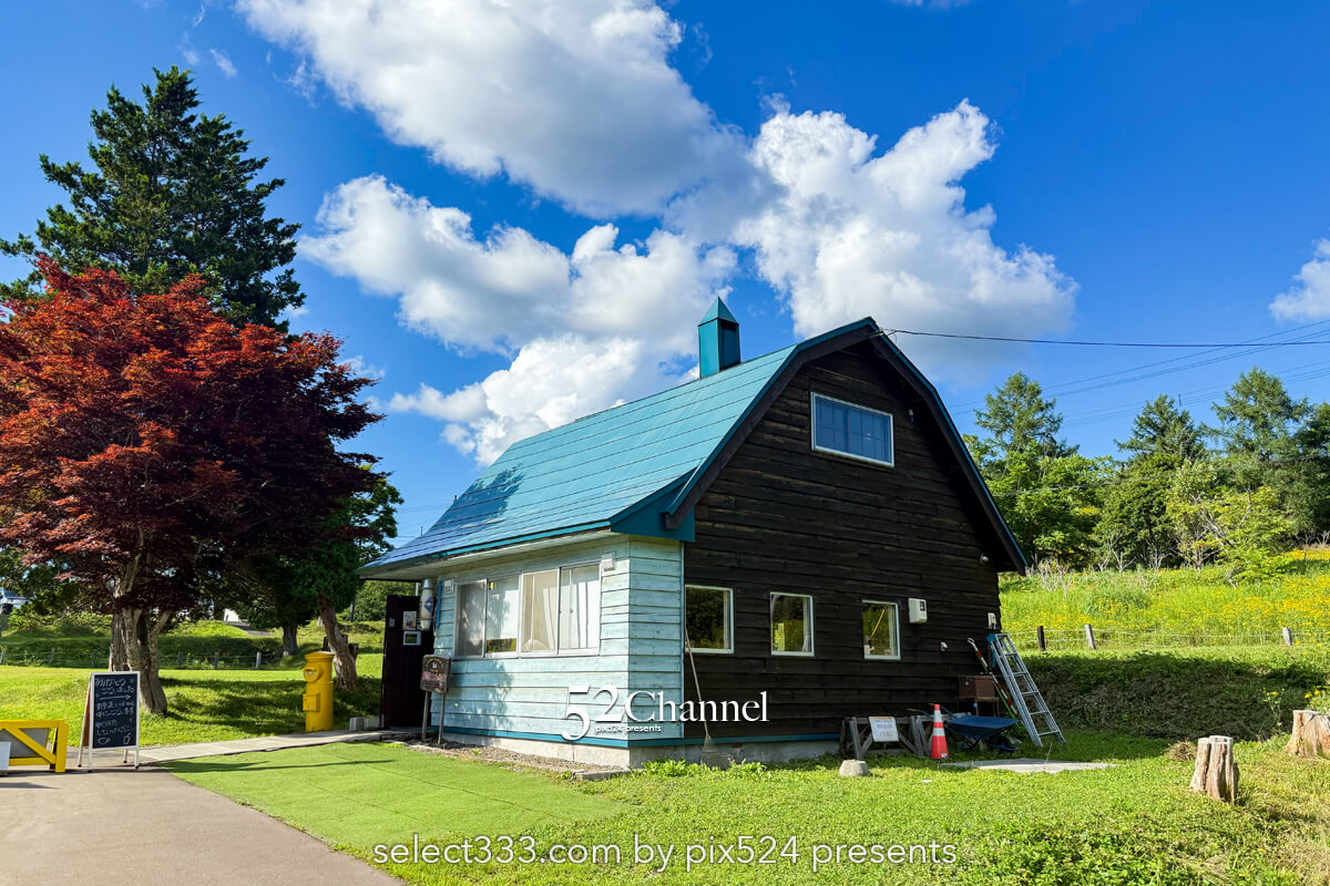 幸福の黄色いハンカチ想い出ひろば:名画の世界観切り取る撮影地!夕張観光・撮影スポット