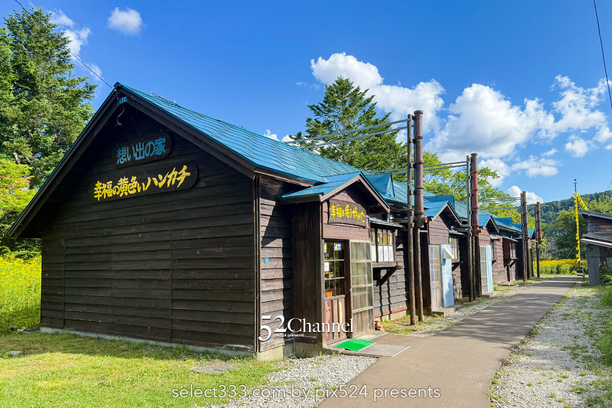 幸福の黄色いハンカチ想い出ひろば:名画の世界観切り取る撮影地!夕張観光・撮影スポット