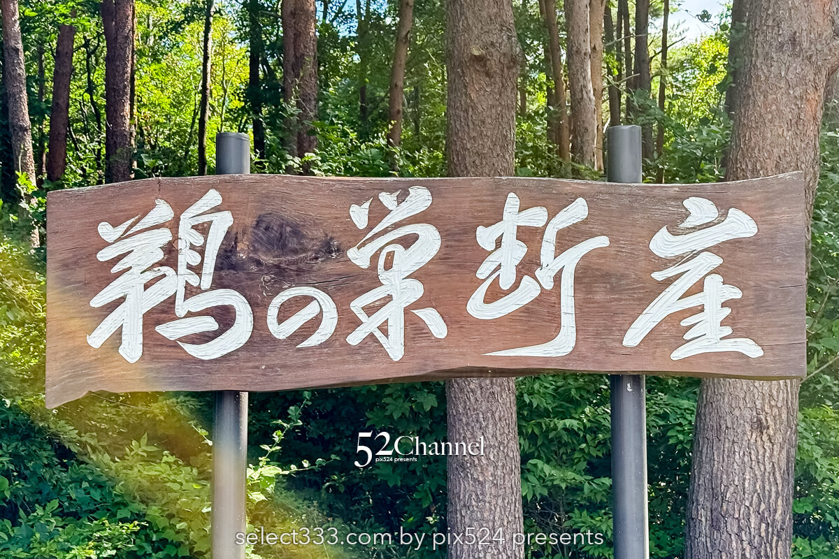 鵜の巣断崖：三陸復興国立公園200mの断崖美！観光と撮影ポイント！造形美の撮影スポット