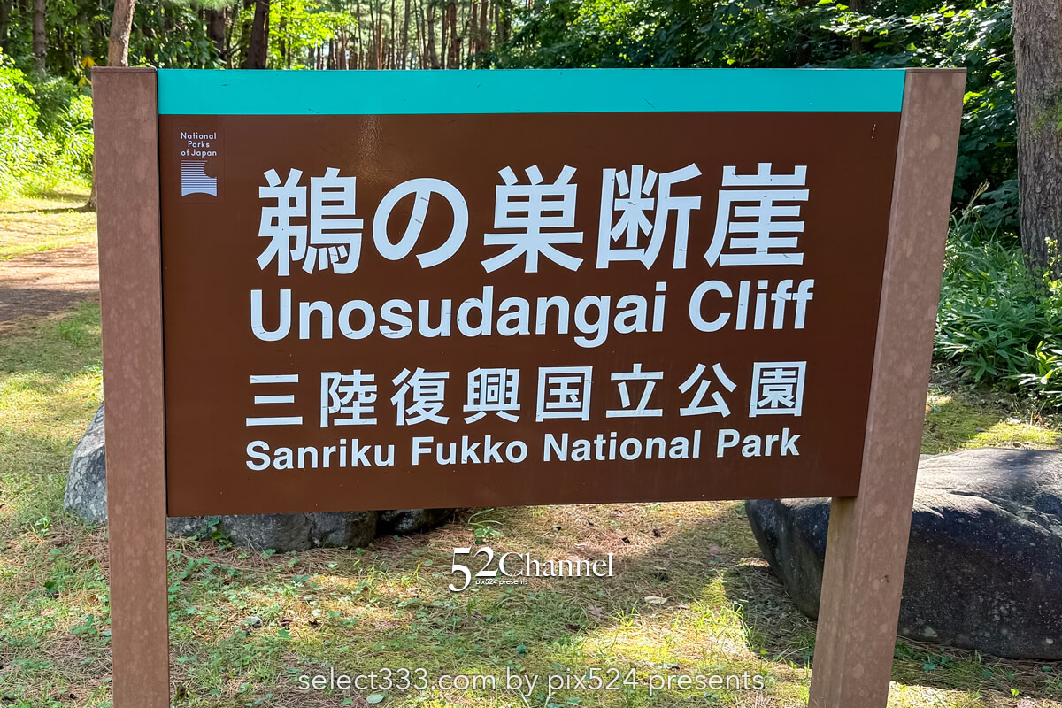 鵜の巣断崖：三陸復興国立公園200mの断崖美！観光と撮影ポイント！造形美の撮影スポット