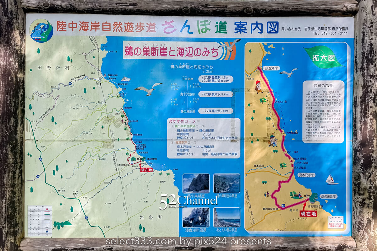 鵜の巣断崖：三陸復興国立公園200mの断崖美！観光と撮影ポイント！造形美の撮影スポット