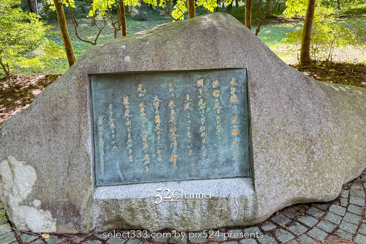 鵜の巣断崖：三陸復興国立公園200mの断崖美！観光と撮影ポイント！造形美の撮影スポット