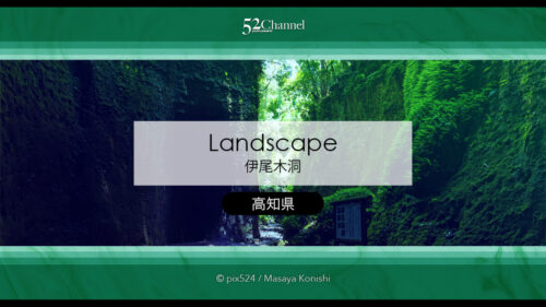 伊尾木洞：神秘の洞窟と天然記念物のシダ群落！見どころと観光！撮影ポイント情報