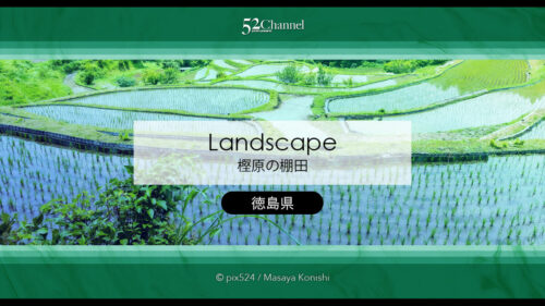 樫原の棚田：長閑な景色に触れられる里山の風景撮影ポイント！棚田の観光・撮影スポット