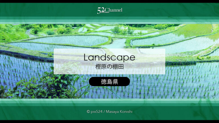 樫原の棚田！長閑な景色に触れられる平安から続く石積みの曲線の風景！山犬嶽の麓の里山